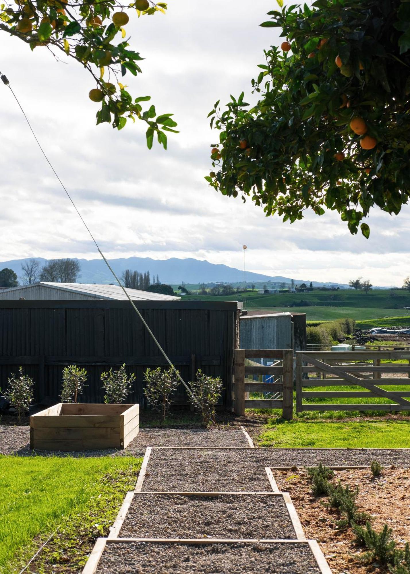 Willow View Cottage - Beautiful Farm Views Close To Waitomo Otorohanga Esterno foto